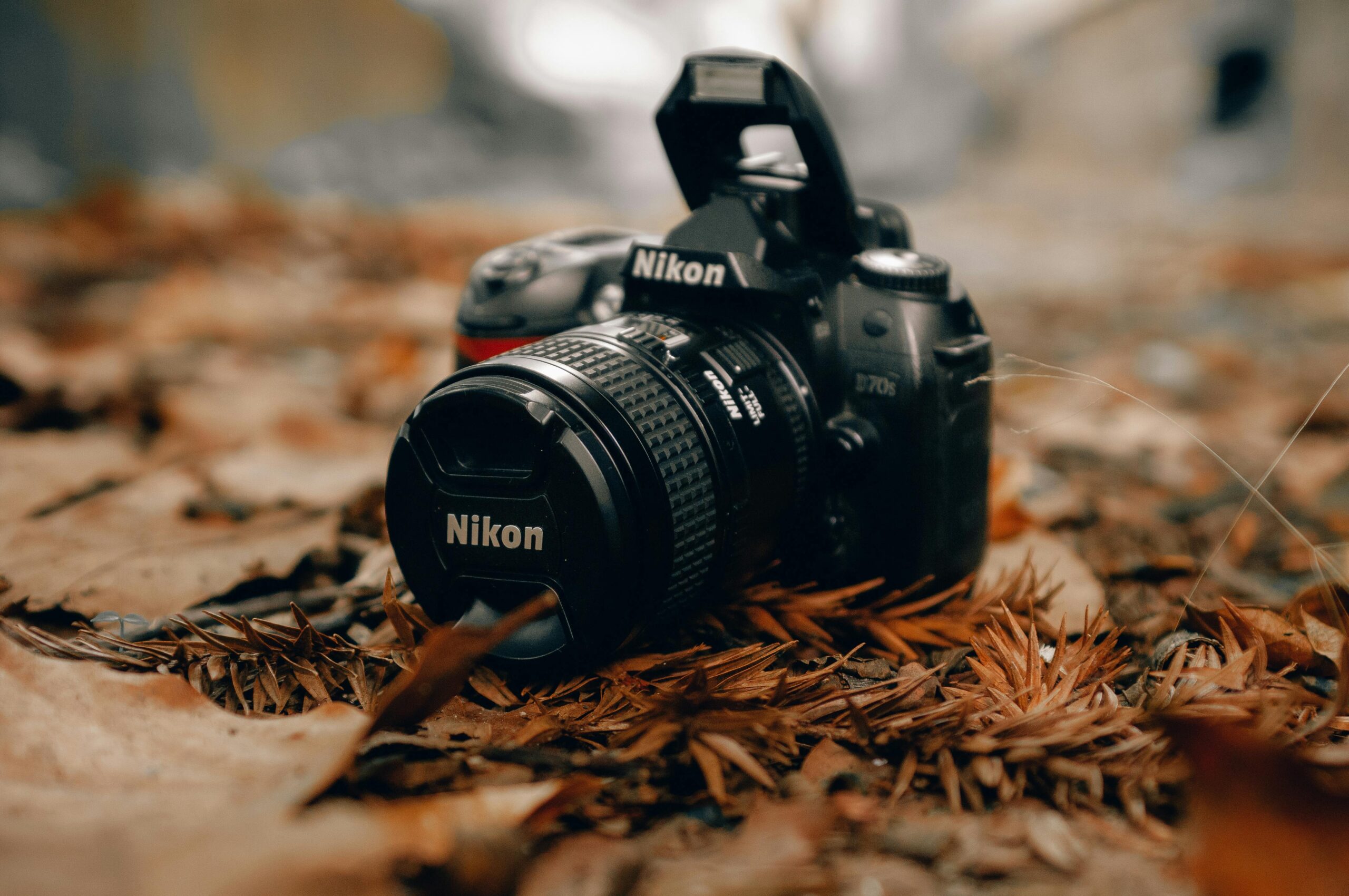 Shop Nikon Cameras: Unleash Your Photography Potential